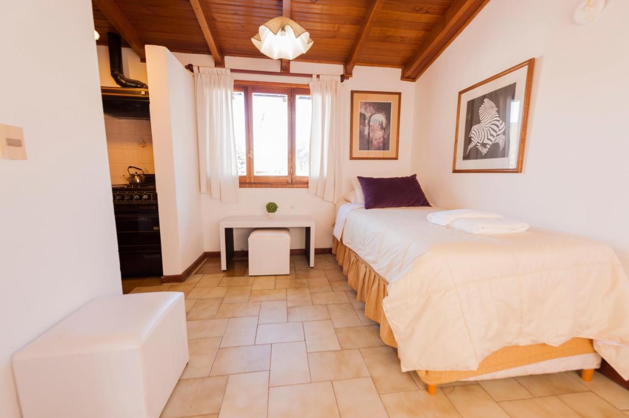 Depto Centrico Vistas 360 Leilighet San Martín de los Andes Eksteriør bilde